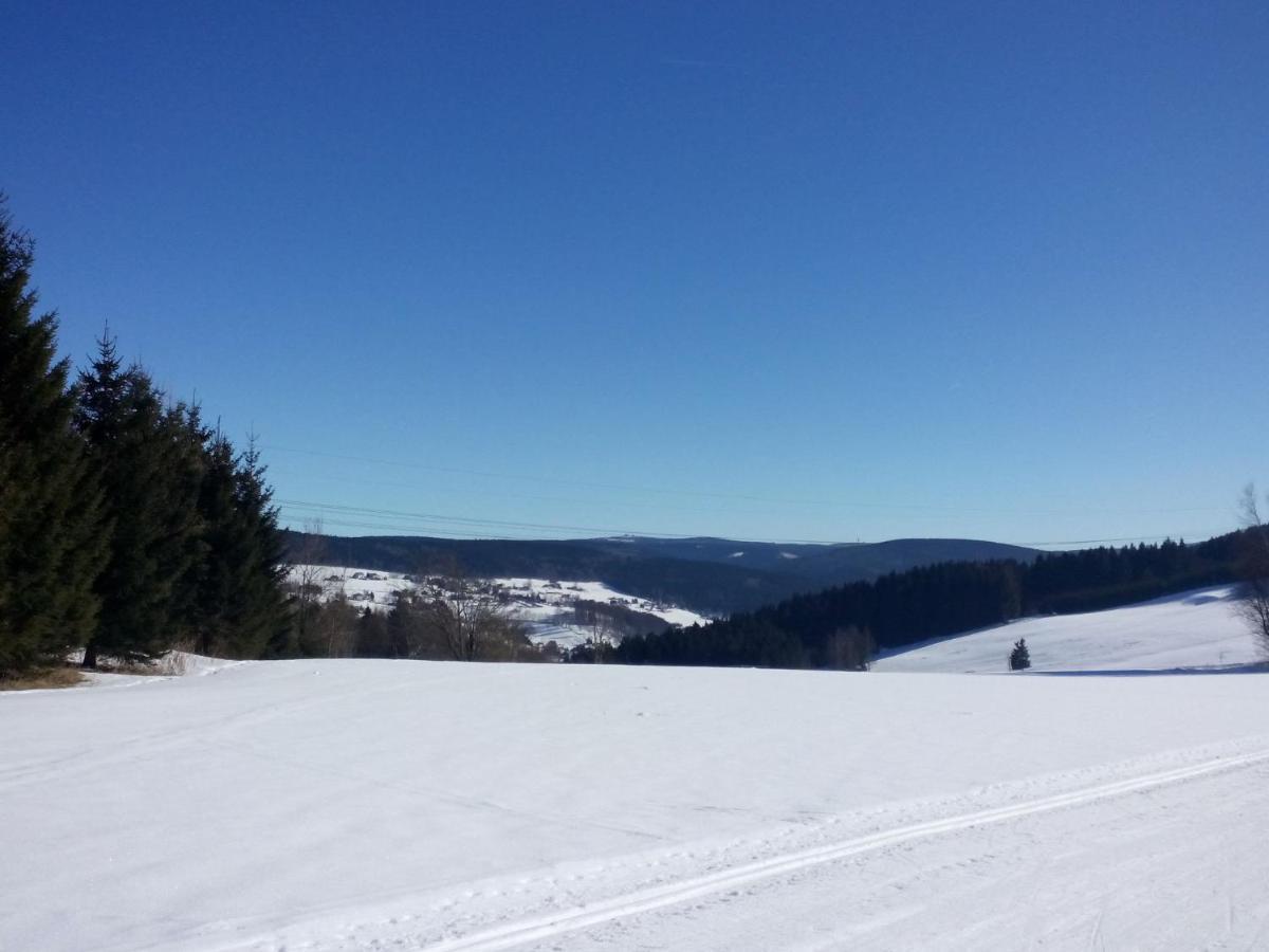 Cozy Apartment In Ore Mountains With Balcony Breitenbrunn  Kamer foto