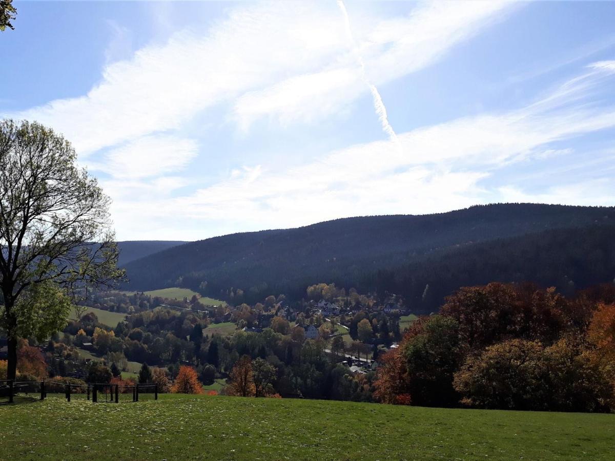 Cozy Apartment In Ore Mountains With Balcony Breitenbrunn  Buitenkant foto